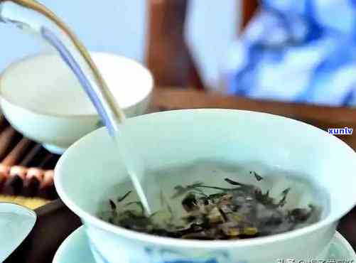 泡茶人员叫什么，探寻茶叶世界的奥秘：泡茶人员的称谓与职责