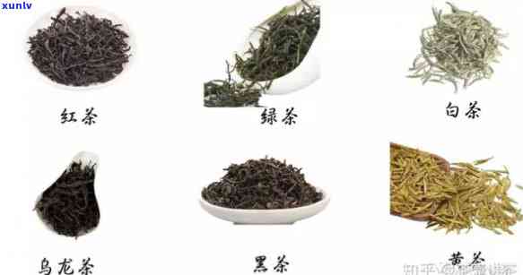 益茶是什么茶，探究益茶：揭开这款神秘茶叶的面纱