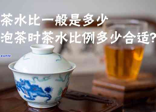 一泡茶应使用多少毫升水？正确比例是多少？