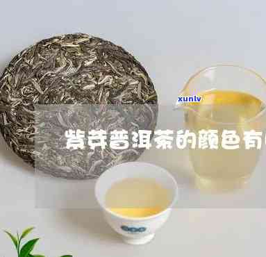 紫芽茶色什么颜色？品鉴对比解析