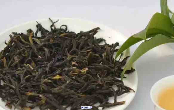 高山单丛茶是什么茶类，揭秘茶叶品种：高山单丛茶，属于哪一类？