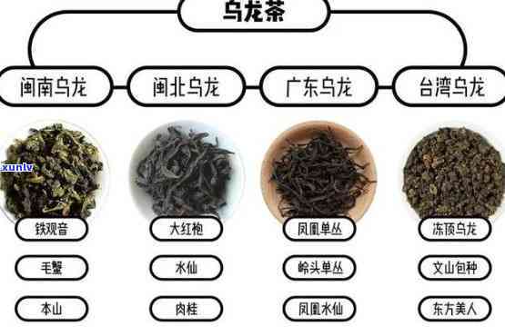 中茶7581多少钱，中茶7581的价格是多少？