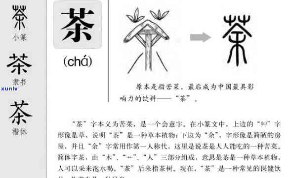 像茶一样的字念什么？含义及读音解析