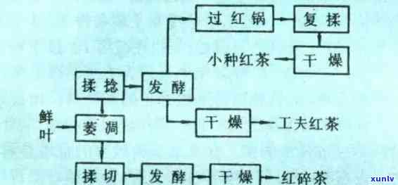 红茶加工技术，探索红茶加工技术：从采摘到饮用的全过程解析