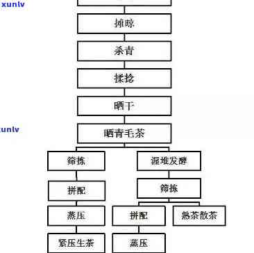 红茶加工基本流程：从采摘到包装全解析