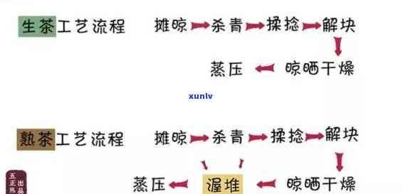 红茶加工基本流程：从采摘到包装全解析