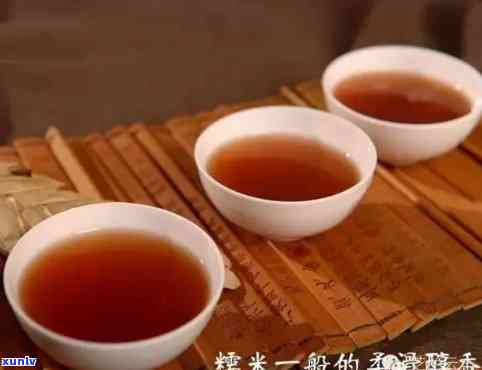 澜沧云贵普洱茶：优质熟茶与专业公司的完美结合