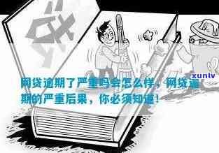 整村网贷逾期不还，警惕！整村网贷逾期不还，可能引发的严重结果