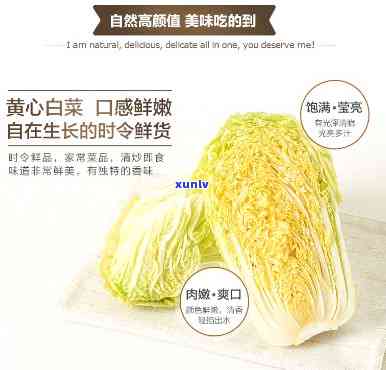 福今大白菜系列价格-品鉴福今大白菜