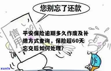 平安保险逾期多久可以补缴？超过60天未交怎样解决？