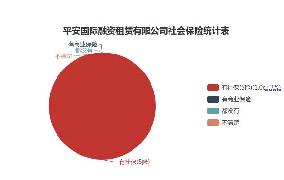 平安设备融资租赁，保障生产安全，提升设备效能——平安设备融资租赁方案解析