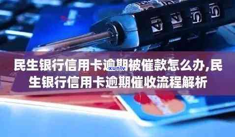 民生银行逾期7个月总行打  怎么办，怎样解决民生银行逾期7个月且接到总行催款  的情况？