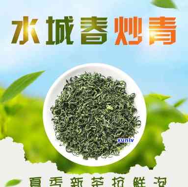 水城春茶价格，探秘中国水城春茶：价格与品质全解析