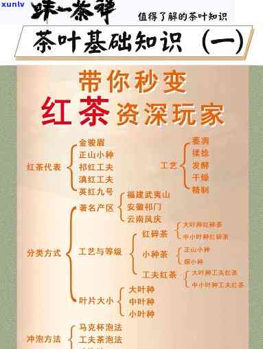 关于红茶的知识资料文献，探究红茶：知识、历与文化