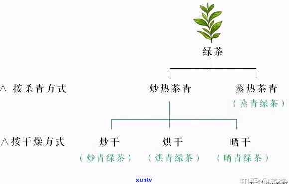 茶的复数形式是什么-茶的复数形式是什么?