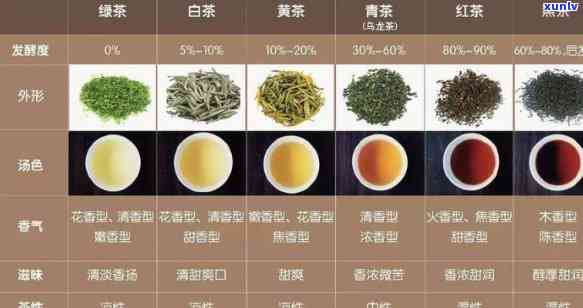 各种茶的区别是什么意思？详解茶叶品种特点与区别