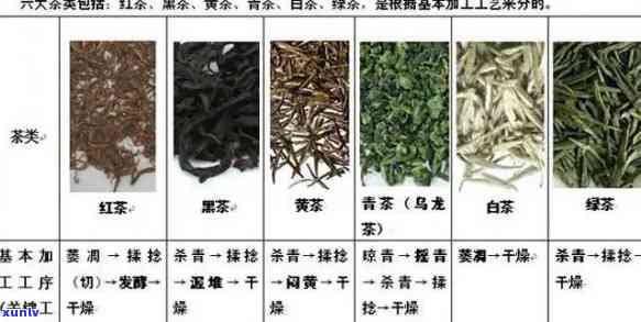 各种茶的区别是什么意思？详解茶叶品种特点与区别