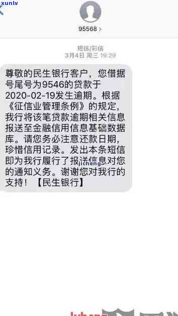 民生银行逾期情况说明，民生银行发布逾期情况说明，揭示信贷风险与应对措