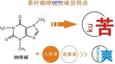 茶的苦味源自于什么细胞，揭秘茶的苦味：源自何种细胞作用？