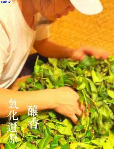 顶山露纯手工价格，探寻茶文化的瑰宝：顶山露纯手工茶的价格解析