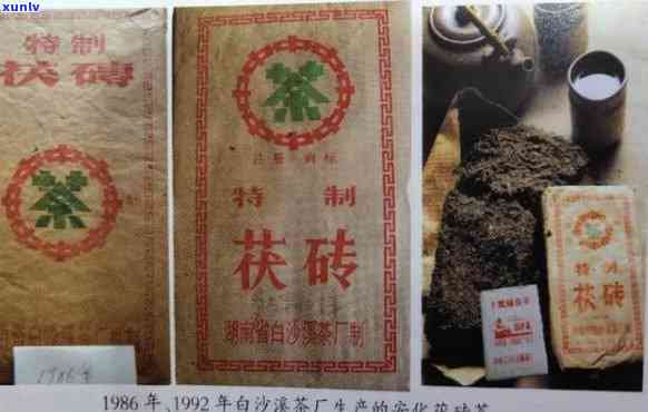 91年中茶茯砖茶，探秘中国茶文化：了解91年中茶茯砖茶的历与 *** 技艺