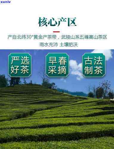 湖北五峰山茶叶：产地、品质及冲泡 *** 全解析