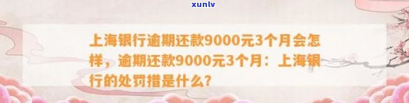 上海银行逾期还款9000元3个月：影响与处罚