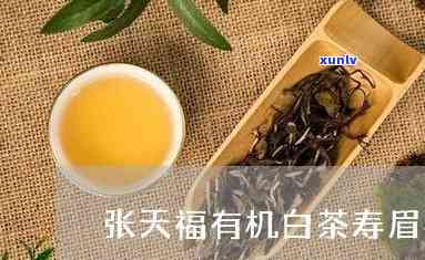 张天福寿眉有机茶，品味自然，享受健：尝试张天福寿眉有机茶