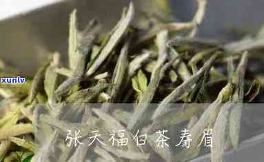 张天福茶界泰斗有机白茶寿眉，致敬茶界泰斗张天福：探索有机白茶寿眉的魅力