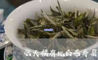 张天福茶界泰斗有机白茶寿眉，致敬茶界泰斗张天福：探索有机白茶寿眉的魅力