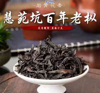 慧苑百年老枞是什么茶？价格多少一斤？