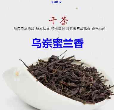 乌岽单丛蜜兰香价格-乌岽单丛蜜兰香是什么茶