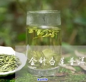 金针白莲多少钱合适，金针白莲的价格区间应该设定在多少才合理？