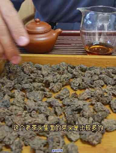 80年代老茶头，回味经典：探索80年代老茶头的独特魅力