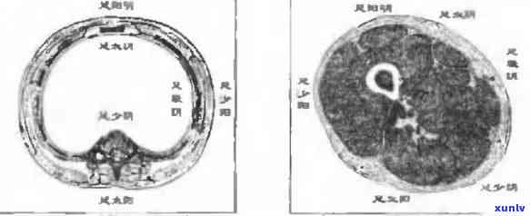 什么石头属阳？详解阴阳石及其特性