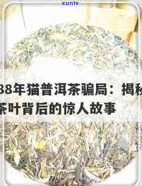 1988年猫普洱茶铁盒是伪造品吗？其价值如何？