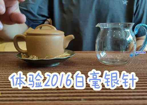 16年白毫银针口感：现价多少？回顾2016年的味道