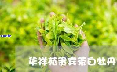 华祥苑贵宾茶白牡丹价格与20周年老牡丹白茶对比