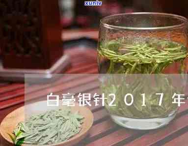 2015白毫银针价格及2014、2016年市场行情分析