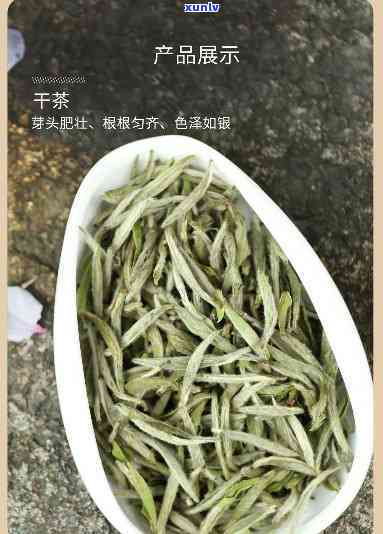 太姥山白毫银针福鼎白茶40g，品味福鼎白茶：太姥山白毫银针40g