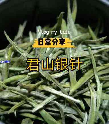 君山银针：观为主，特种茶品种