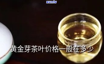 黄金叶和黄金芽茶哪个价格贵，黄金叶与黄金芽茶：哪种茶叶的价格更高？