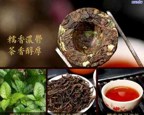 新益号糯香熟沱价格-新益号糯香普洱茶化石怎么样