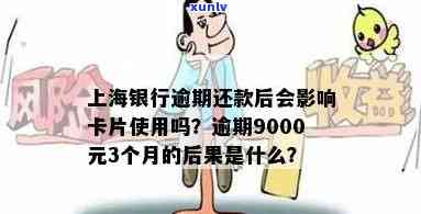 上海银行逾期还款9000元3个月的结果及处罚是什么？