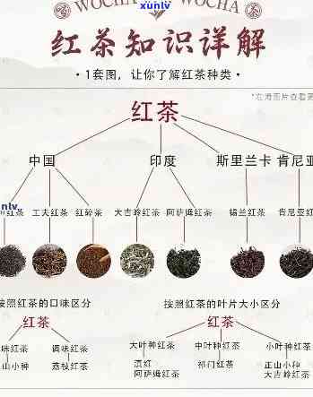 如何精准描述红茶的口感与特点？