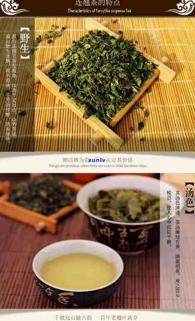 山西平定连翘茶价格-平定县连翘茶