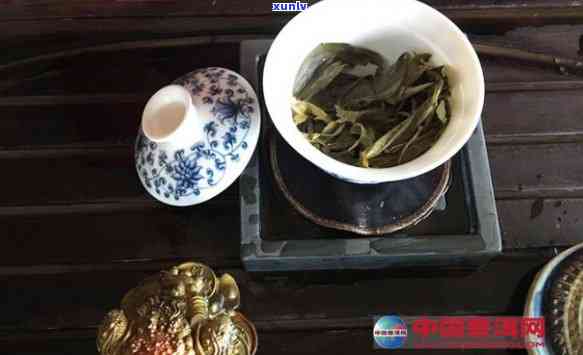 古树春茶用什么壶泡，选择：揭秘古树春茶的完美冲泡工具——什么壶最适合？