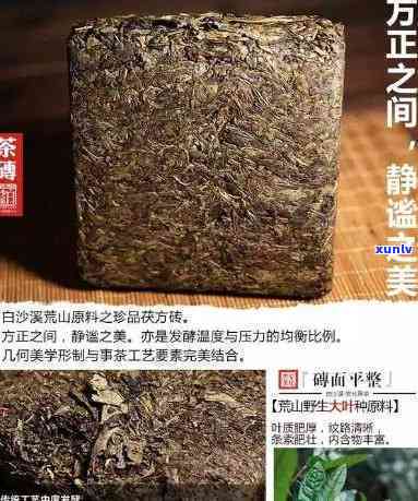 白沙溪珍品茯：800克及方砖价格全解析