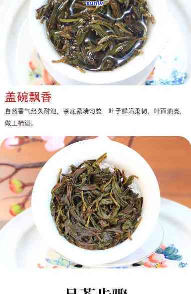 凤凰茶海底捞针，寻味之旅：探索凤凰茶与海底捞针的神秘联系