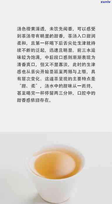 凤凰茶海底捞针，寻味之旅：探索凤凰茶与海底捞针的神秘联系